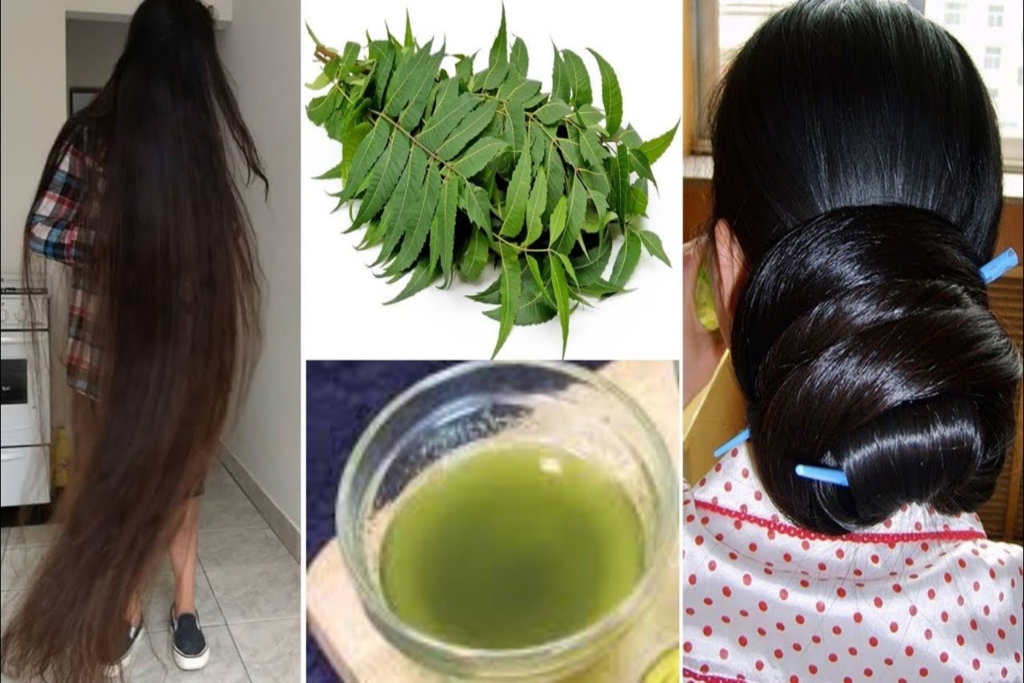 Curry Leaves For Hair