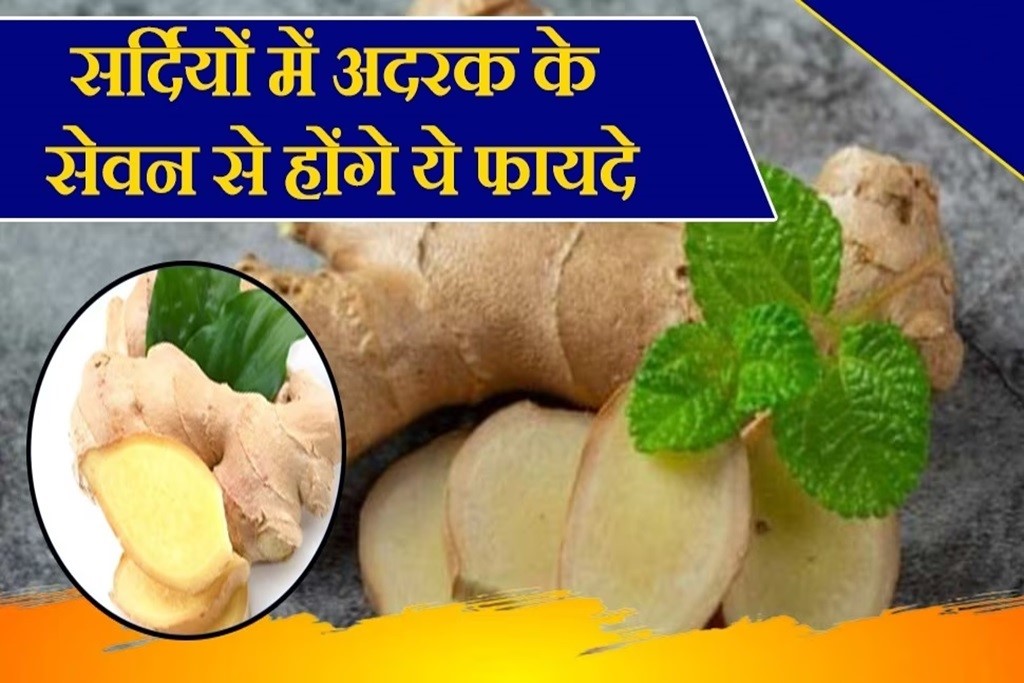 Ginger Benefits In Winter