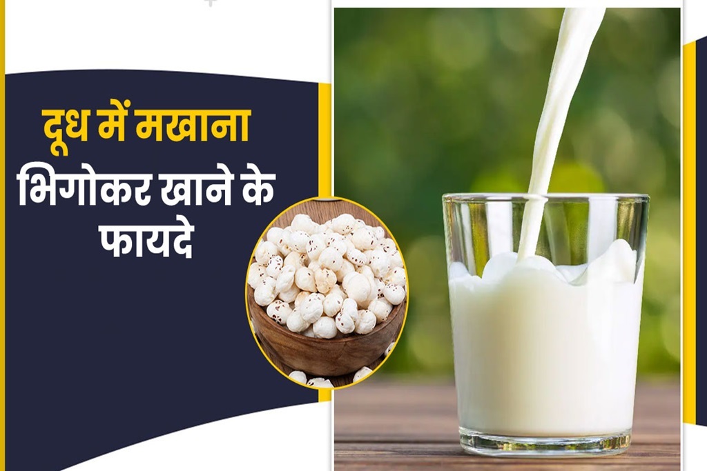 Makhana with Milk