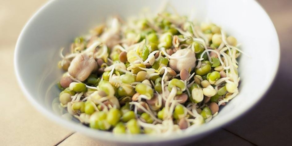 Sprouted Chickpeas